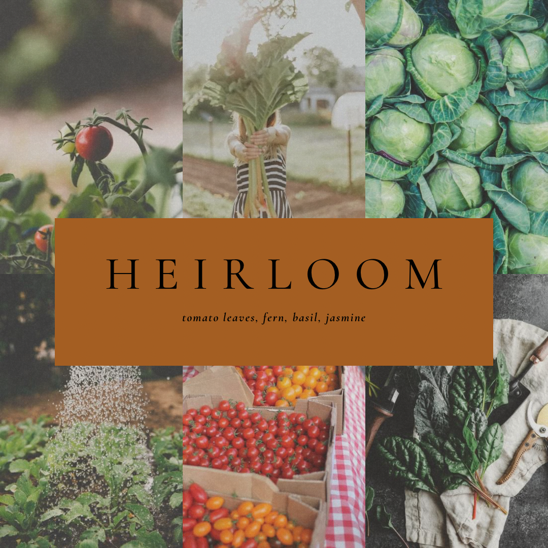 Heirloom 100% Soy Candle Tin